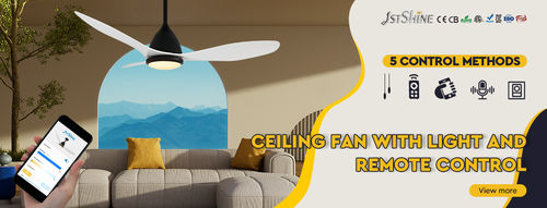 Ultime notizie aziendali su Perché le luci dei ventilatori del soffitto sono l'apparecchio domestico perfetto a doppio uso