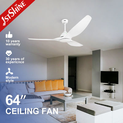 Buon prezzo Ventilatore di soffitto grande da 64 pollici con lame ABS e motore a corrente continua per soggiorno e villa In linea